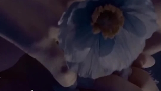 Happy birthday Rosé