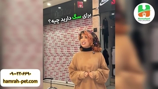 انواع اسباب بازی سگ