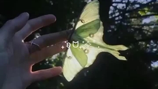 نیو ممبر °°°° آیرا °°°°° کپ مهم