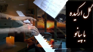 آهنگ گل ارکیده | موسیقی بی کلام گل ارکیده با پیانو _  Tango to evora piano