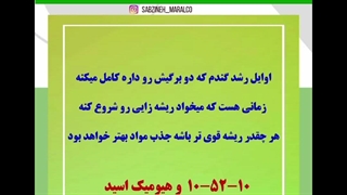 ریشه زایی گندم و علفکش باعث نابودی تا اخر ویدیو رو ببین