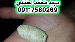 مهره مار شاه کبری