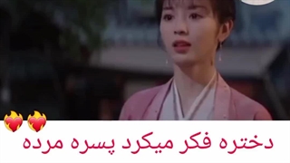 میکس سریال چینی  نگهبان دافنگ