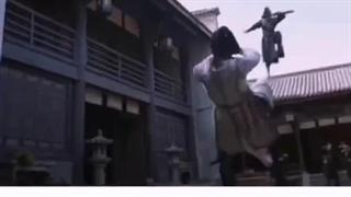 نگهبان دلفنگ  مکس سریال چینی