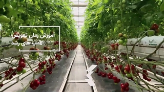 آموزش کشت صیفی جات هیدروپونیک + مدرک