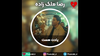 آهنگ جدید رضا ملک زاده - یادت هست