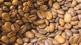 آسیاب قهوه صنعتی اسوه 09138900047