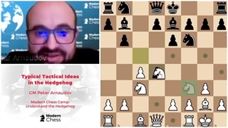 جوجه تیغی را درک کنید