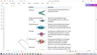 همانندسازی DNA | مکانیسم‌ها و آنزیم‌ها در پروکاریوت ها