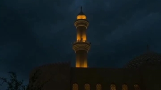 امید می‌روید....