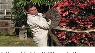 Best Fauna spotter catcher