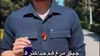دل، جگر و سنگدان برای سگ