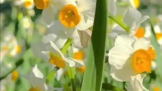 عیدتون مبااااارک =)))