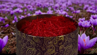 زعفران زرسان