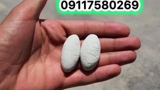 فروش خرمهره پاکستانی