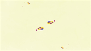 خرید یوسی ارزان پابجی از سایت معتبر ایران موجو