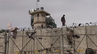 سیاهچاله های بگرام افغانستان و ابوغریب عراق