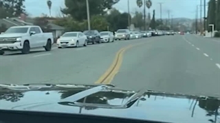 صف خودرویی طولانی تخم مرغ ارزان در آمریکا!