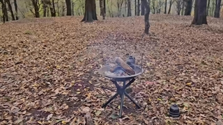 باربیکیو مسافرتی با امکانات کامل