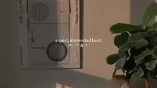 وایبشششش:))))