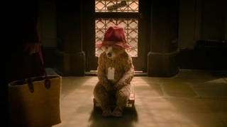 فیلم Paddington in Peru 2024 با زیرنویس فارسی