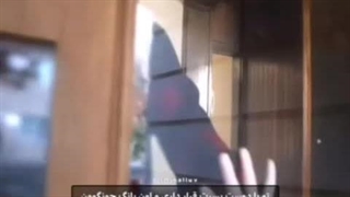 ووییییییییی