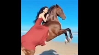 لحظات زیبا. از اسب و سوار.