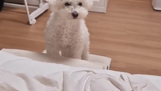 پرنسس سونگهون...