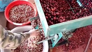 فروش فله اسپرسوساز دستی موونا