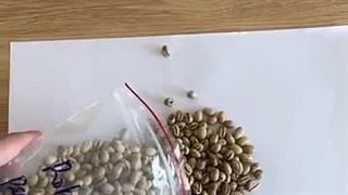 فروش اسپرسوساز دستی قهوه موونا