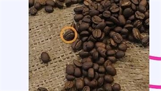 انواع فله اسپرسوساز دستی قهوه موونا