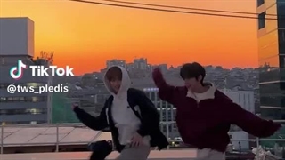 تیک تاک تواسTWS