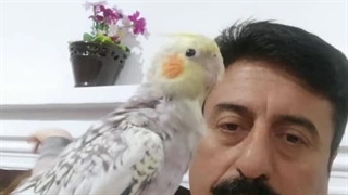 معصوم قنبری از استان زنجان شهر قیدار
