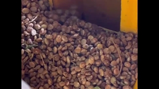 طرز تهیه پودر سماق با دستگاه آسیاب اسوه 09138900047