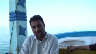 تک درخت دَرَک