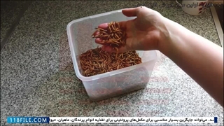 چگونگی خشک کردن اصولی میل ورم در خانه