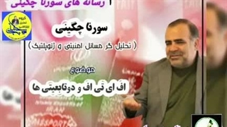 14031130: دو تابعیتی ها و پذیرش FATF توسط جمهوری اسلامی - سورنا چگینی