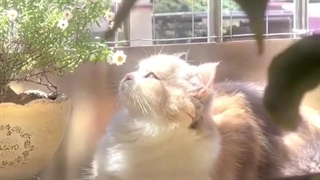 ازاله عهههاوخودااا