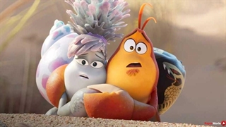 زیر مسیر چوبی