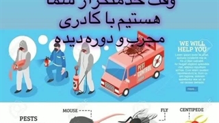 سمپاشی ساس تهران