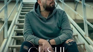 شاهین بنان گوشی