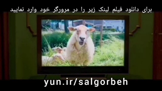 دانلود فیلم سینمایی سال گربه