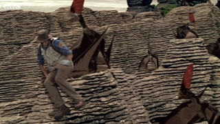 S01E10-Ornithocheirus and Sand Dollar