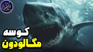 مگالودون؛ ترسناک ترین و بزرگ ترین کوسه تمام دوران