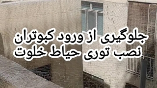 نصب توری مرغی حیاط خلوت ساختمان 09122577948