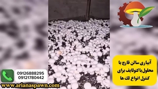 آبیاری سالن قارچ