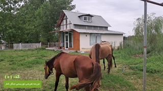 جنگل کنار کلبه 101 - اجاره کلبه جنگلی چمستان