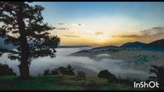 آلبوم  #نرجس_دالوندار