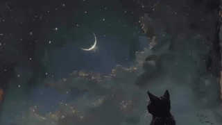 کپشن برای کسایی که نمی دونن