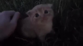 اوخداااا....